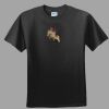 Softstyle™ Junior Fit T Shirt Thumbnail