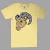 Fine Jersey Short Sleeve T-Shirt Thumbnail