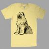 Fine Jersey Short Sleeve T-Shirt Thumbnail