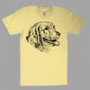 Fine Jersey Short Sleeve T-Shirt Thumbnail