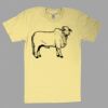 Fine Jersey Short Sleeve T-Shirt Thumbnail