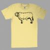 Fine Jersey Short Sleeve T-Shirt Thumbnail