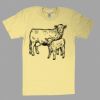Fine Jersey Short Sleeve T-Shirt Thumbnail