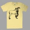 Fine Jersey Short Sleeve T-Shirt Thumbnail