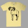 Fine Jersey Short Sleeve T-Shirt Thumbnail