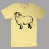 Fine Jersey Short Sleeve T-Shirt Thumbnail