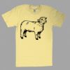 Fine Jersey Short Sleeve T-Shirt Thumbnail