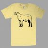 Fine Jersey Short Sleeve T-Shirt Thumbnail