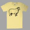 Fine Jersey Short Sleeve T-Shirt Thumbnail