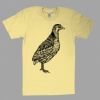 Fine Jersey Short Sleeve T-Shirt Thumbnail