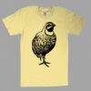 Fine Jersey Short Sleeve T-Shirt Thumbnail