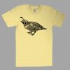 Fine Jersey Short Sleeve T-Shirt Thumbnail