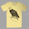 Fine Jersey Short Sleeve T-Shirt Thumbnail