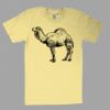 Fine Jersey Short Sleeve T-Shirt Thumbnail