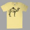 Fine Jersey Short Sleeve T-Shirt Thumbnail