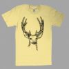 Fine Jersey Short Sleeve T-Shirt Thumbnail