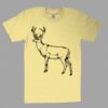Fine Jersey Short Sleeve T-Shirt Thumbnail