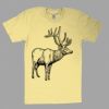 Fine Jersey Short Sleeve T-Shirt Thumbnail