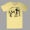 Fine Jersey Short Sleeve T-Shirt Thumbnail