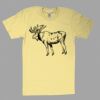 Fine Jersey Short Sleeve T-Shirt Thumbnail