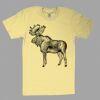 Fine Jersey Short Sleeve T-Shirt Thumbnail