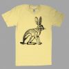 Fine Jersey Short Sleeve T-Shirt Thumbnail
