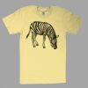 Fine Jersey Short Sleeve T-Shirt Thumbnail