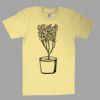 Fine Jersey Short Sleeve T-Shirt Thumbnail