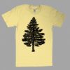 Fine Jersey Short Sleeve T-Shirt Thumbnail