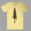Fine Jersey Short Sleeve T-Shirt Thumbnail