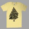 Fine Jersey Short Sleeve T-Shirt Thumbnail