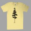 Fine Jersey Short Sleeve T-Shirt Thumbnail